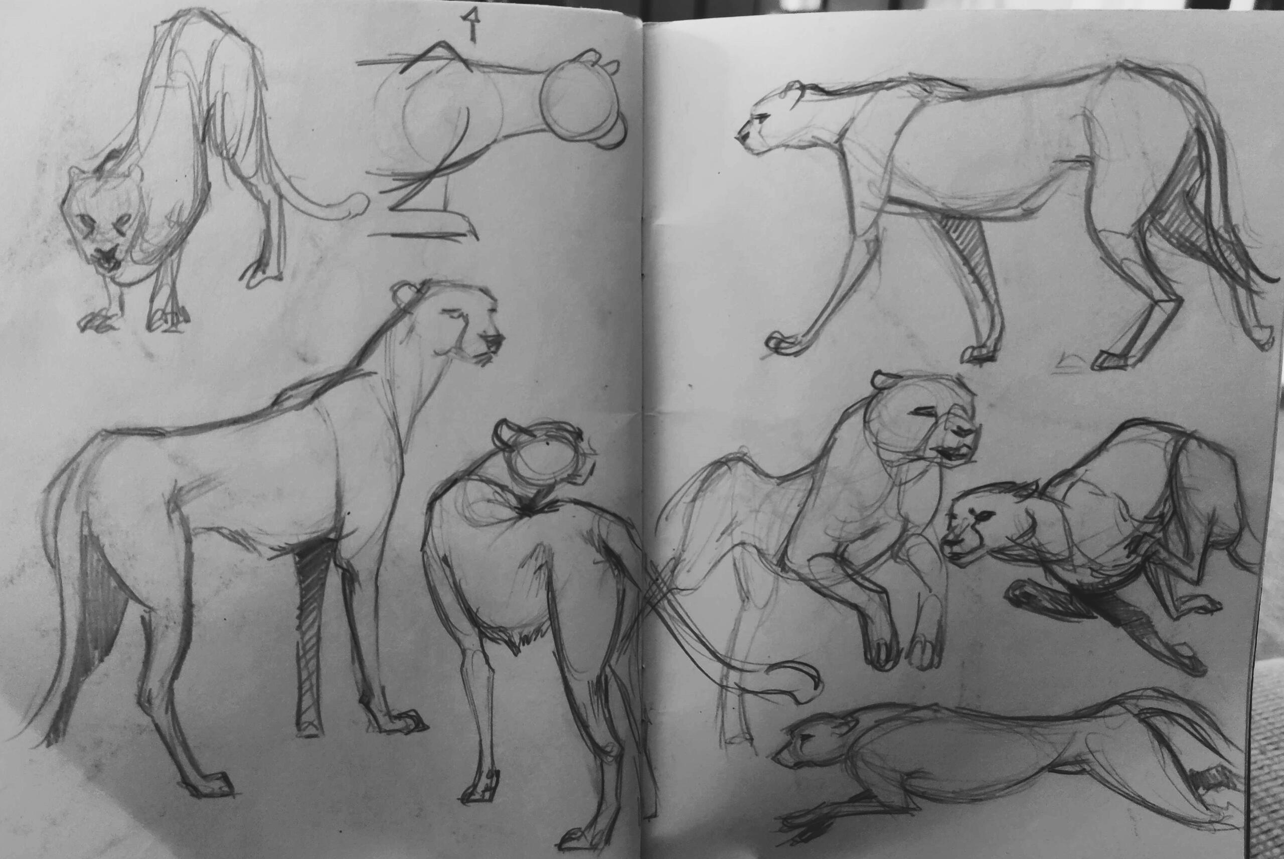 Untitled Untitled